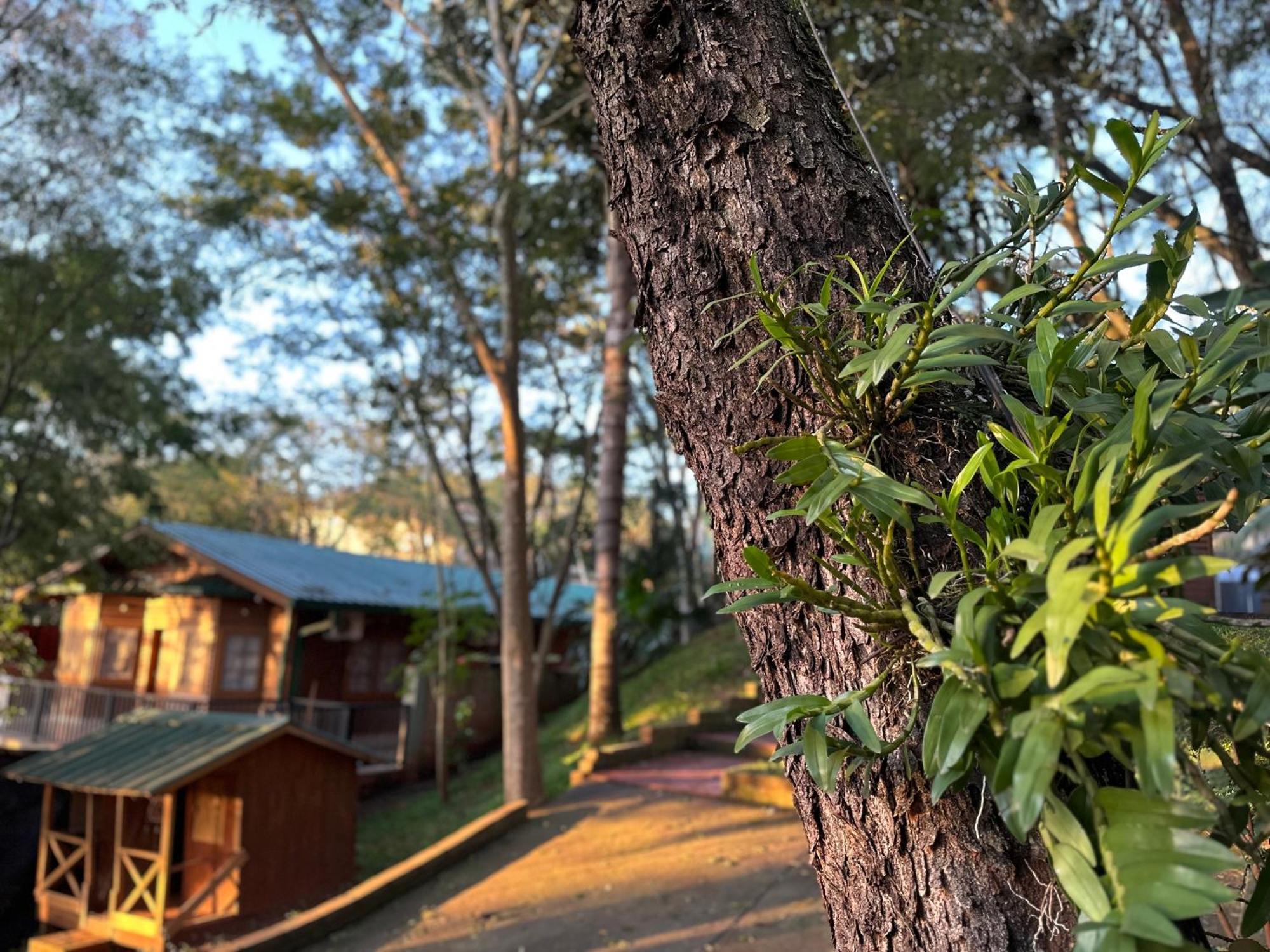 Inn Costa Del Sol Iguazú 3*